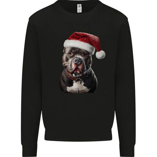 Maglione felpa uomo christmas - felpa,