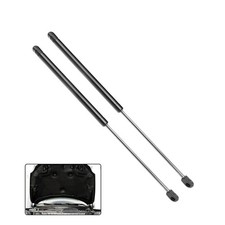 2pz Puntoni Supporto