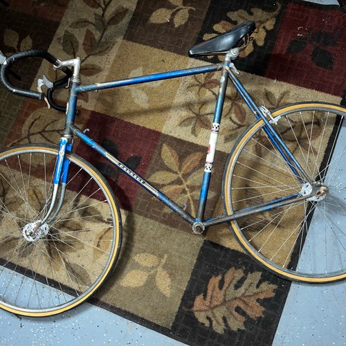 Set telaio vintage peugeot - telaio,