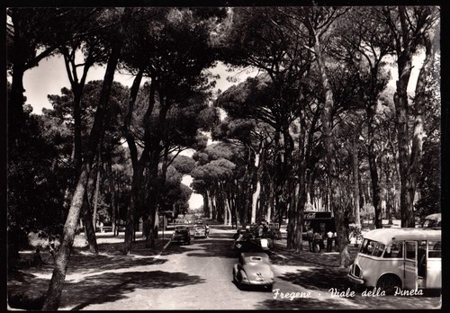 Fregene cartolina viale - (roma),
