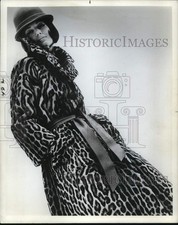 Foto stampa 1964 naturale