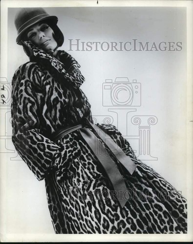 Foto stampa 1964 - , naturale