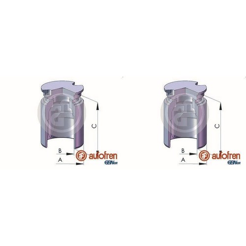 Autofren 38mm pistone - 2x,