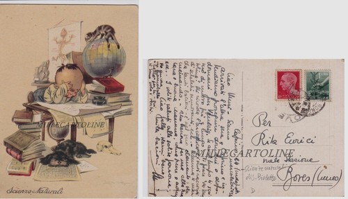 Illustratore bioletto - illustratore,