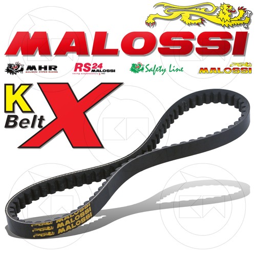 Malossi 6113501 cinghia - cinghia, di