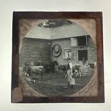 Antique Magic Lantern Slide
