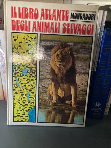 Nayman libro atlante - il,