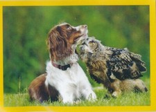 Panini National Geographic -