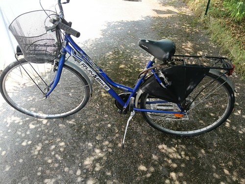 Bici città rondine - città,