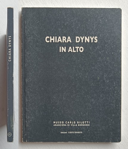 Chiara dynis alto cura - dynis, in