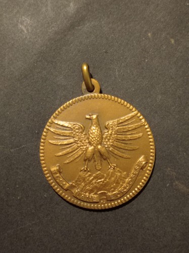 Valsesia medaglia bronzo - in,