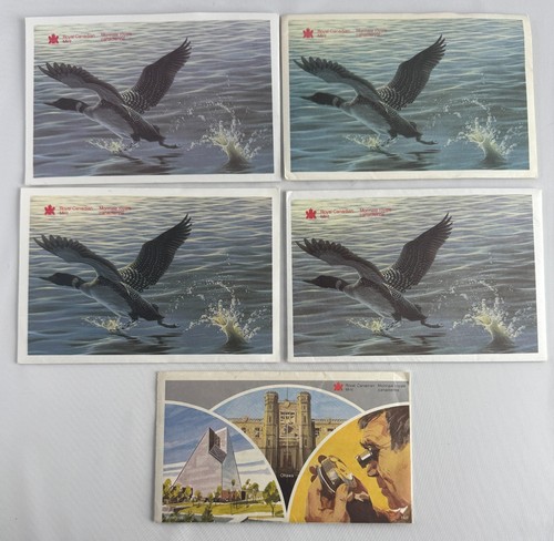 Cinque canada 1981 95 - 1981, 90