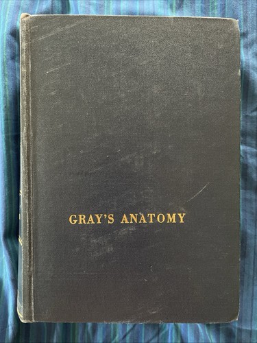 Gray anatomy 28th edition - anatomy,