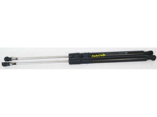 844300001r pistoncini - 844300001r,