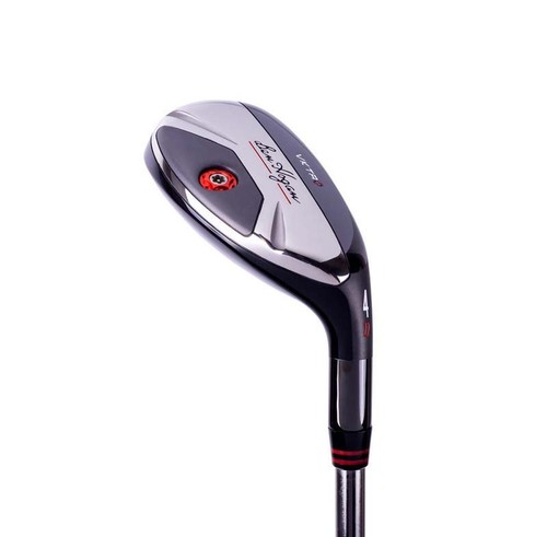 Solo testa ben hogan - ben,