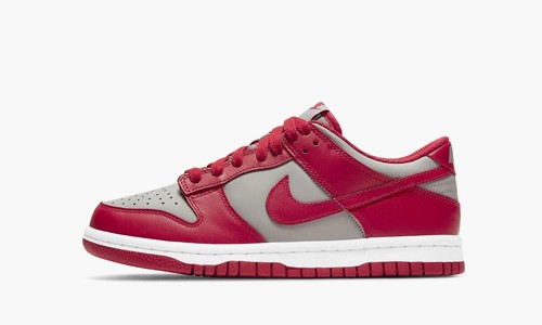 Nike dunk low retro - dunk,