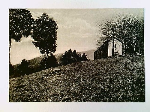 Panighera lemna casa - panighera,, alpina