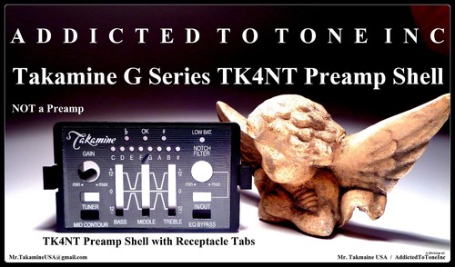 Takamine series tk4nt - g,