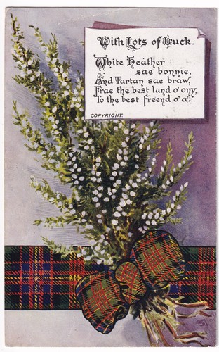 Scottish white heather tartan - heather,