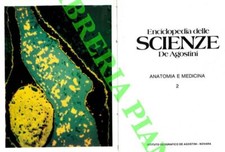 Anatomia medicina - e,