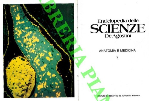 Anatomia medicina - anatomia,