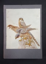 Ettore Arrigoni degli Oddi