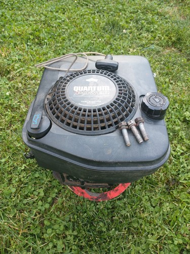Motore briggs stratton - motore,