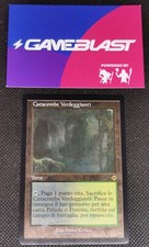 MTG Verdant Catacombs *Etched