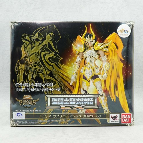Saint seiya capricorn - saint,