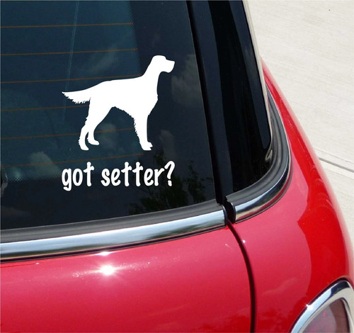 Got setter adesivo - setter?, grafico
