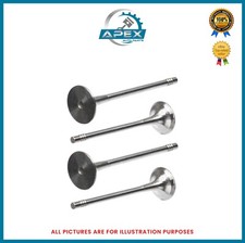 Ford B-Max 1.5TDCI Motore