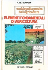 ELEMENTI FONDAMENTALI DI