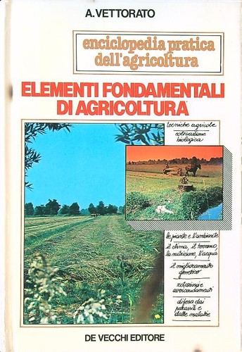 Elementi fondamentali - elementi,