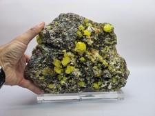 Minerali◇Zolfo Bituminoso