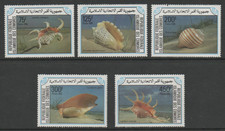 Conchiglie - Comoro Is. set