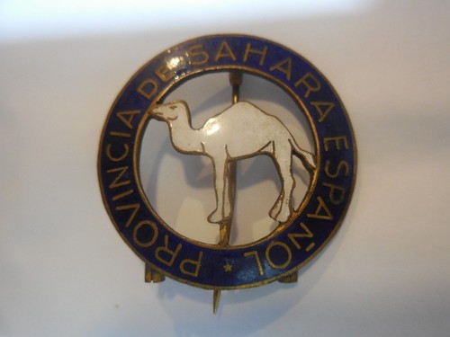 Distintivo spilla sahara - distintivo,