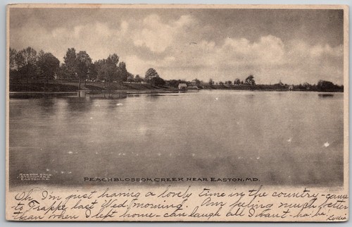 1906 peachblossom creek easton - peachblossom,