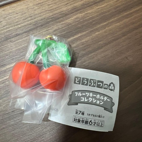Portachiavi frutta capsula - portachiavi,