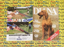 Rivista Magazine del