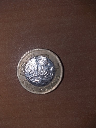Moneta rara one pound - moneta, £