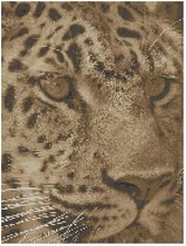 Schema Di Ricamo A Punto Croce Di Florashell - Volto Di Grande Felino Giaguaro