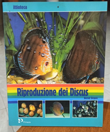 Riproduzione dei discus bernd - riproduzione,