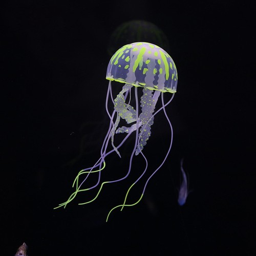 Meduse effetto luminoso - meduse,