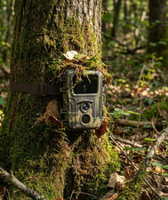 Kit Coppia Fototrappole