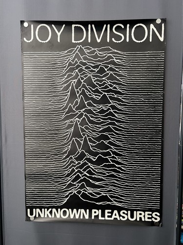 Poster promozionale joy - poster,