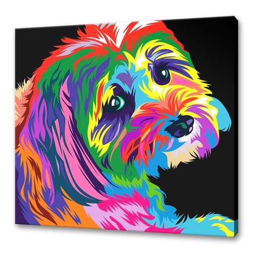 Quadro colorato lhasa apso - quadro,