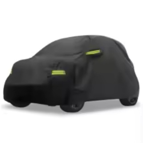 Copriauto telo auto smart - auto,