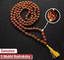 CERTIFICATO LABORATORIO 5