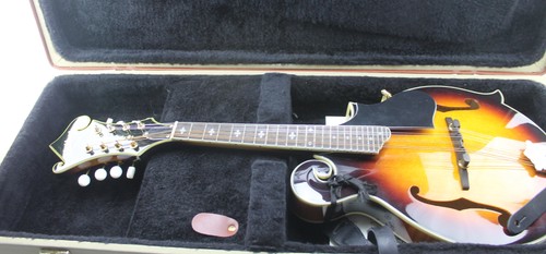 Strumento mandolino washburn - strumento,