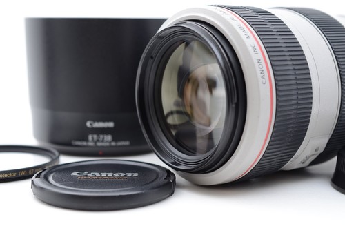 Canon 300mm 5 6l is - ef,